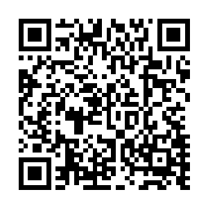 足可以在华夏引发一场地震……而你现在又掌控了地下世界二维码生成