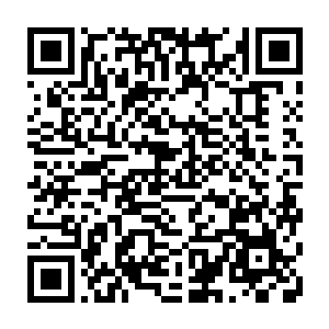 跌跌撞撞的冲向专门为了躲避强敌只有他们一家三口知道的单向小传送阵二维码生成