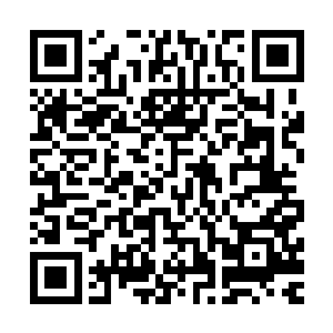 跌进来太深爬不出去也是可能……但前提是计划按时执行到位二维码生成