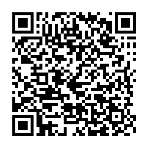 距离叶璃最近的几个刺客全部被剑气所伤胸口绽出一道血痕跌倒在地二维码生成
