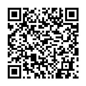 距离林封谨最近的那白衣弟子根本就不和林封谨多说什么二维码生成