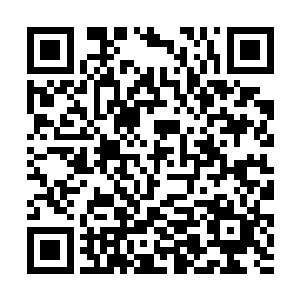 跟他们要统一海修真界单位目标根本没有一点儿关系二维码生成