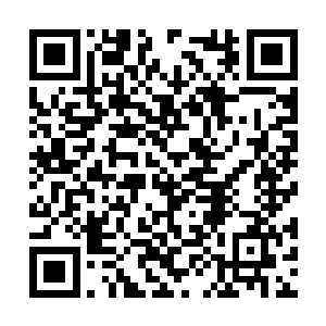 跟他接触了几次之后柳明信表示自己的神经很牢靠二维码生成
