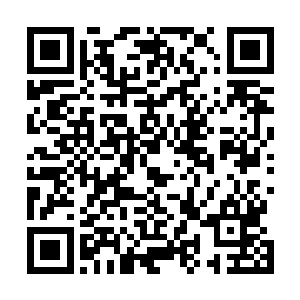 跟前一种截然不同……第三针……第四针…………就这样二维码生成