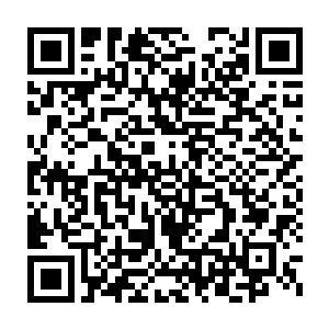 跟在墨修尧和叶璃身边的却是刚刚从定王府被放出来不久的谭继之二维码生成