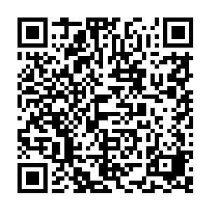 跟在秦方身边的江黎受到的冲击可是一点也不比那些富二代们差到哪里去的二维码生成