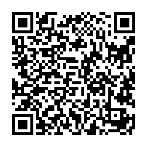 跟巴克一样算是简单的用一个后腰挂着的收集袋就解决了存放弹匣的问题二维码生成