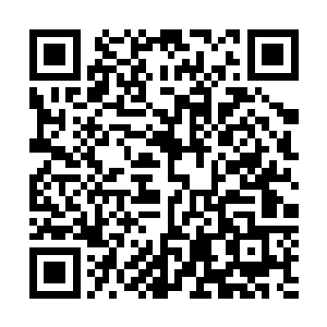 跟徐尚秀属于同一种气质但更出众的苏以就不会苦等到今天二维码生成