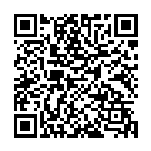 跟真气始终保持着泾渭分明的状态……不但是成分不太一样二维码生成