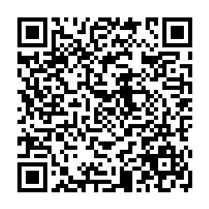 跟着他打猎的年轻的猎手们要是做错什么先敲一顿再扯着嗓门吼一顿解释二维码生成