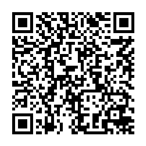 跟着几个同样被判社区劳动的人一起在长岛富人区的街道上捡拾垃圾时二维码生成