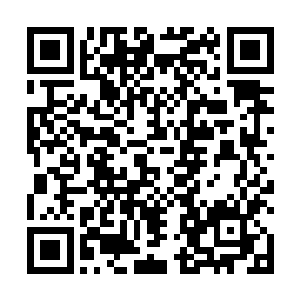 跟着程子鱼学习怎么设计这样一个较大的室内设计项目二维码生成