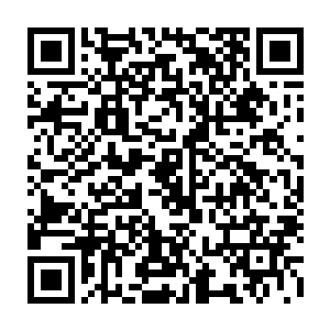 跟花如梦这个宗师级中期的高手的身份实在是不太符合的……不过怎么样二维码生成