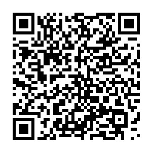 跟随在秦洛身后的华夏中医代表团成员看到东洋人杀气腾腾的模样二维码生成