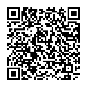 跟随巨神兵构件一起从乾坤戒中喷涌而出的还有超过二十枚强化陶瓷圆球二维码生成