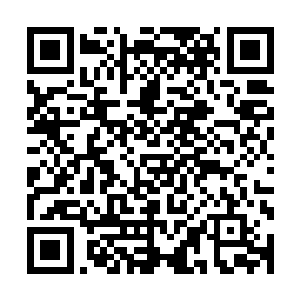 跟随着搬运乐器的人走上了舞台――雨果就这样直接被无视了二维码生成