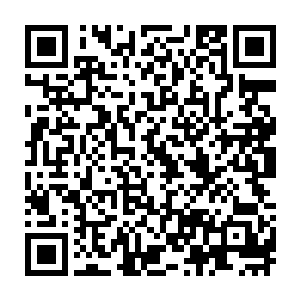 跟青阳洞那位外表冷若冰霜内心实则柔软得可以的苏澈宗主根本就不是一路人二维码生成