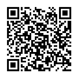 跟龙野提完第二天龙战便在族里说了大家因为武器而懈怠的事情二维码生成