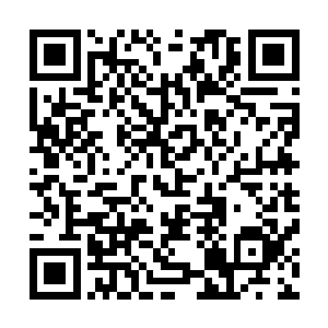 跪在下方的上万名弟子顿时感到一股无形的力量将自己笼罩二维码生成