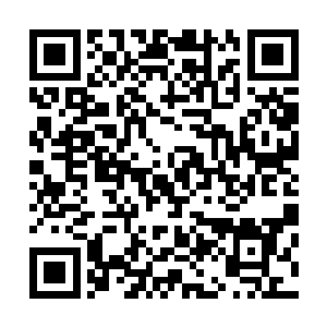跪在他面前的几位水师将领脑门上汗珠子噼里啪啦的往下掉二维码生成