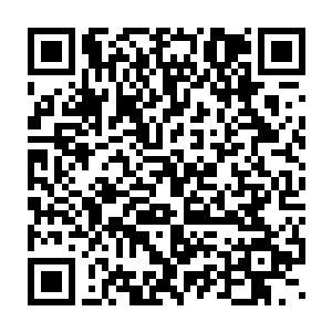 路队长必须盯着队伍里的每个同学都走进自己家的院子才算完成任务二维码生成