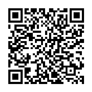 踏出的小径说明高扬他们离着人类经常活动的地带已经很近了二维码生成