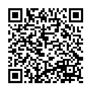 蹲在地上的他感受到了一股震动从脚底瞬间传遍了全身二维码生成