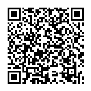 蹲在旁边儿一边拿着能够记录影像的传讯法石记录宋落玉的尸体一边嘀咕二维码生成