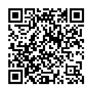 身上的皮质完全和秦方手中的神兽小龙的龙鳞差别巨大的二维码生成