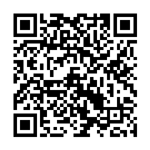 身为残云葫芦主宰的半步血雷第一次主动传递意识过来二维码生成