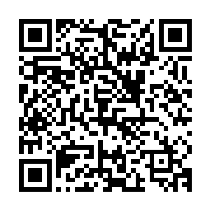 身为混沌世界的人竟然跟血狱世界的人混在一起充当他们的走狗二维码生成