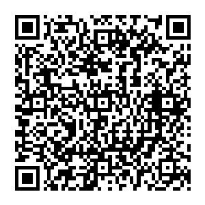 身体上终于还是不怎么敢动……也许自己是喜欢抱在一起的……偶尔会闪过迷迷糊糊的念头……二维码生成