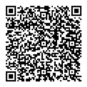 身体力量将化作远古犼尊之力 一亿等于远古犼尊的一层实力 十亿等于两层 当他突破最终的境界之后 便能达到远古犼尊的实力二维码生成