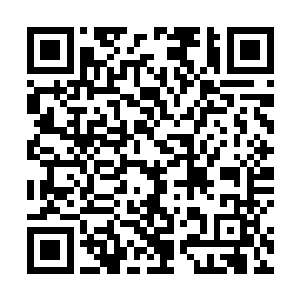 身体四周原本舞动的正是欢实的困天索也稍微缓慢下来二维码生成