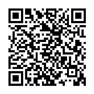 身体表面浮现出了一层绿色的黏膜然后便是滋养着它的伤口部位二维码生成
