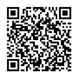 身在张勤宇两边的小卫小飞听着张勤宇的安排顿时点了点头二维码生成