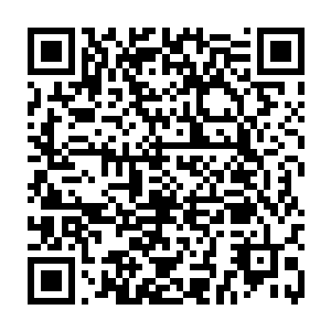 身手精湛的杨紫琼把张东城和袁和平两人设计出来的枪斗术展现的淋漓尽致二维码生成