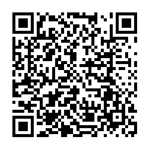 身旁的一只五行兽迅速从在符地上半身残体的破碎不堪的上衣中摸出一颗小绿球二维码生成