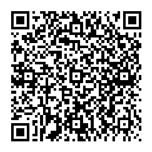 身材原本就高挑得经常客串模特的叶卡琳娜变成了一身黑亮水滑的貂皮大衣跟黑色网眼垂纱在脸面前的模样二维码生成