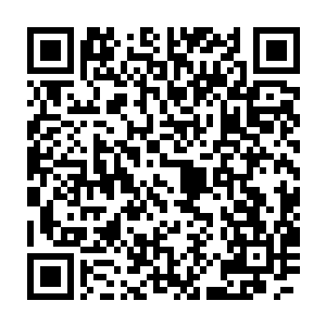 身穿白色长袍的天剑正和十大守护家族的代表人物围坐在一张会议桌上二维码生成
