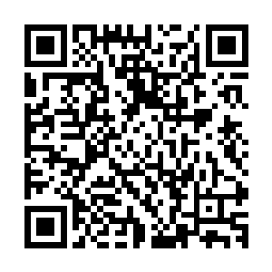 身经百战的涂章狼青实在是没有把握自己这一次能够活得下来二维码生成