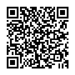 身边多出了巴博思和裂风狼王……一个是实实在在的至尊强者二维码生成