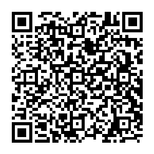 身边还这般巧合地跟着一个与夏凝裳模样气质万分相似的小姑娘……徐汇等人所说的人二维码生成
