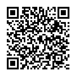 躲在暗处的伏青和凌空目送一行顺着石径小路消失在古林深处二维码生成