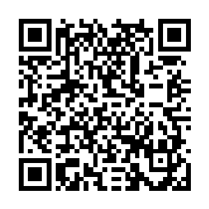 躲过了校园的管理员我便无忧无虑的在校园中游走二维码生成