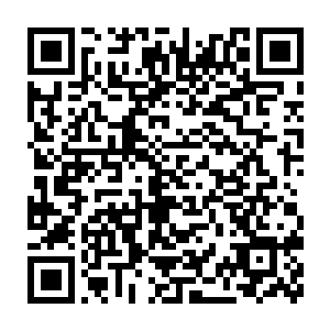 躺在伊丽萨腿上看着三个比基尼水手撅在甲板上擦地就是他的任务二维码生成