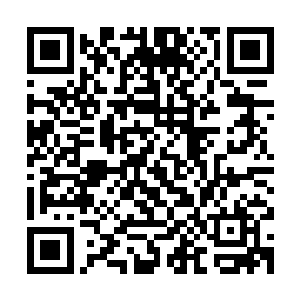 车主狰狞的脸庞和小男孩笑意盈盈的小脸形成了一种怪异的反差二维码生成