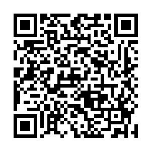 转生轮盘便会将阴界跟印记主人所掌控的世界联系起来二维码生成