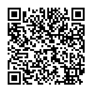 转瞬被一只庞在的紫翼飞虎用锋利的爪子抓住了肩膀放在了城门上二维码生成