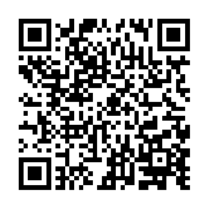 转而掏出了一块小巧的碧绿色的玉简放在林烽的面前二维码生成